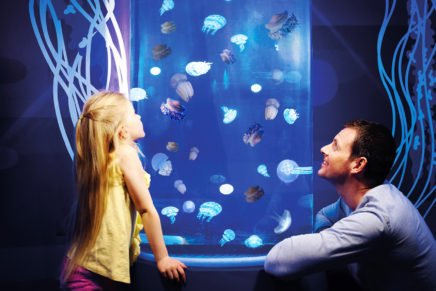 Gardaland Sea Life Aquarium sulle rive del Lago di Garda Gardaland Sea Life Aquarium sulle rive del Lago di Garda